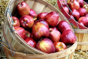 bushels_of_apples_H