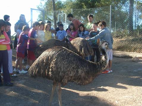 Granja de Navas